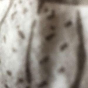 Meet your Posher, George